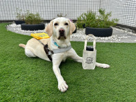 導盲犬飲料提袋