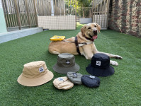 導盲犬摺疊遮陽帽