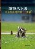 《讓牠活下去》流浪狗絶育回置TNR專書